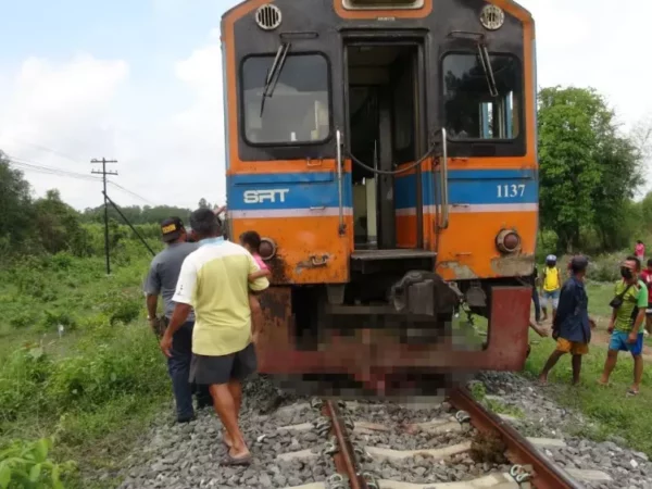 รถไฟกรุงเทพฯ-กบินทร์บุรี ชนวัวตาย โชคดีไม่ตกราง แต่ทำให้ล่าช้าไป 2 ชม.