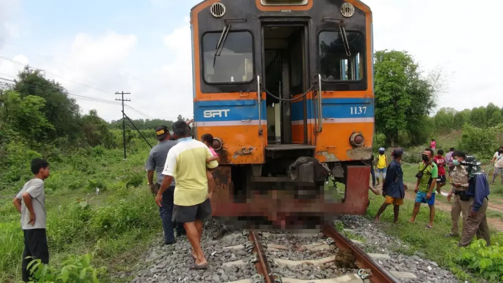 รถไฟกรุงเทพฯ-กบินทร์บุรี ชนวัวตาย โชคดีไม่ตกราง แต่ทำให้ล่าช้าไป 2 ชม.