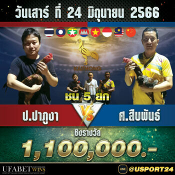 ป.ปาภูงา(พม่า)VSศ.สืบพันธ์ุ(เชิง)  สนามไก่ทองอินเตอร์