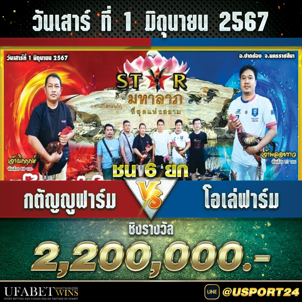 สนามชนไก่มหาลาภปากช่อง เสาร์ที่1มิถุนายน2567