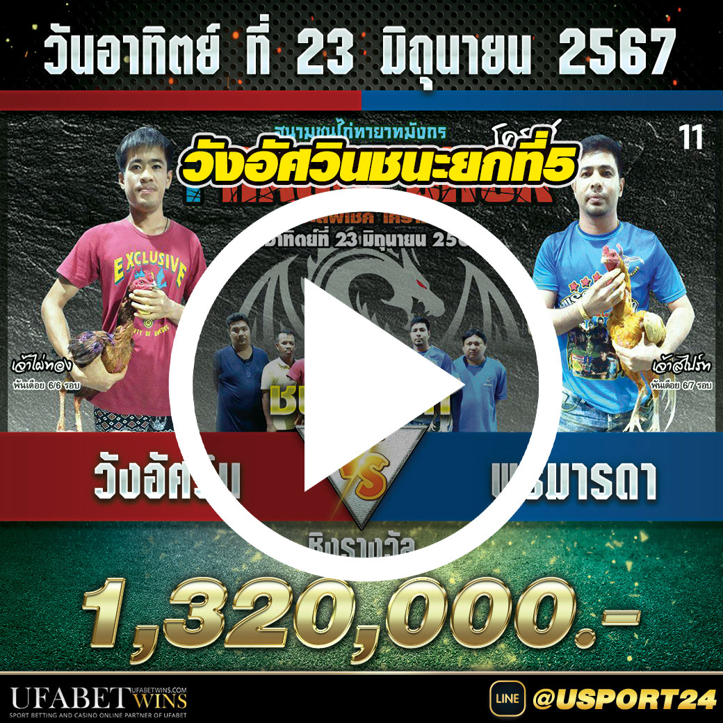วังอัศวินvsพรมารดา สนามชนไก่ทายามมังกรล่าสุด