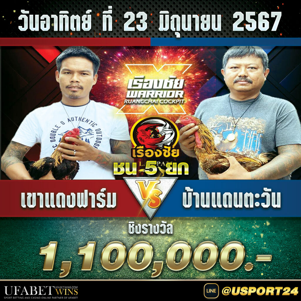 สนามชนไก่เรืองชัย อาทิตย์ที่23มิถุนายน2567