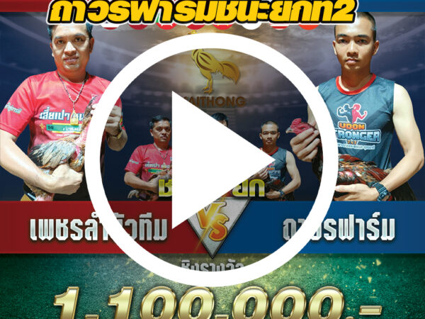 เพชรลำบัวทีม(เจ้าคมพยัคฆ์)VSถาวรฟาร์ม(เจ้าฟ้าสะท้าน)