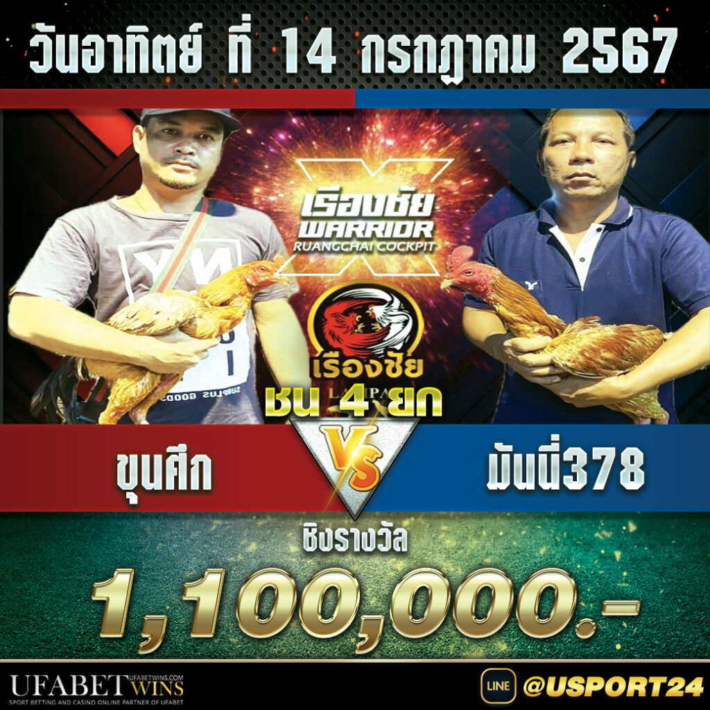 สนามชนไก่เรืองชัย อาทิตย์ที่14กรกฏาคม2567