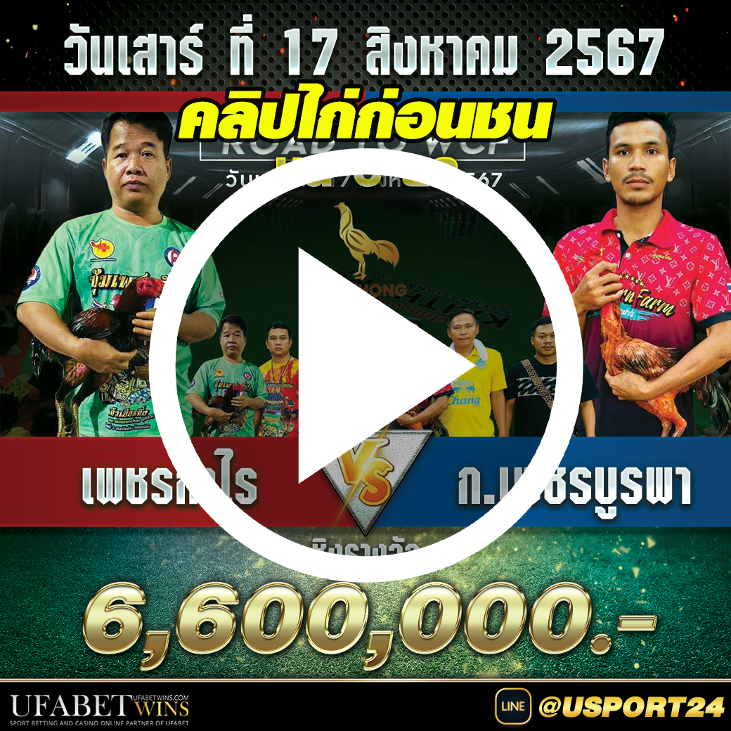 เพชรกำไรVSก.เพชรบูรพา คลิปไก่ก่อนชนจริง