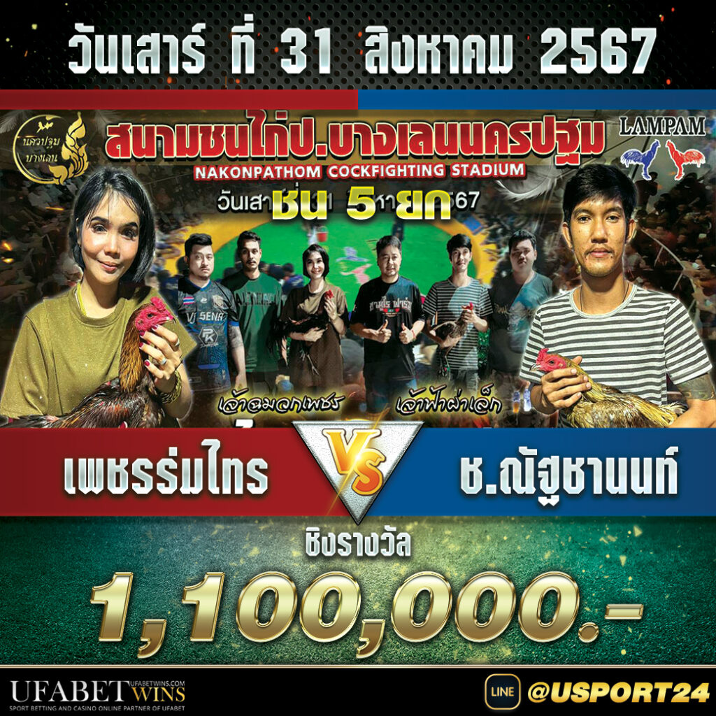 โปรแกรมไก่ชนสนามบางเลนนครปฐม เสาร์ที่31สิงหาคม2567