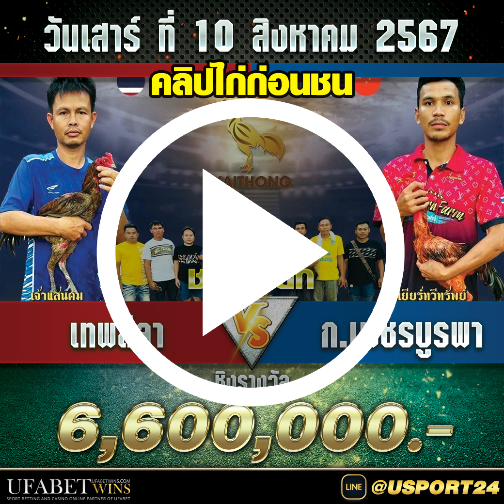 เทพลีลาVSก.เพชรบูรพา คลิปไก่ก่อนชนล่าสุด