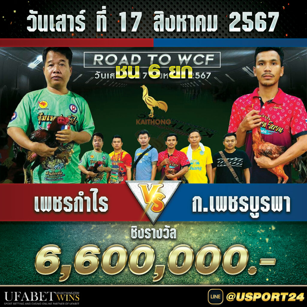 เพชรกำไรVSก.เพชรบูรพา คลิปไก่ก่อนชนจริง