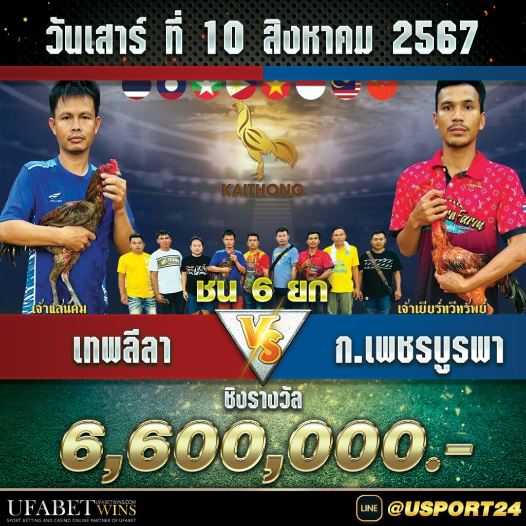 เทพลีลาVSก.เพชรบูรพา คลิปไก่ก่อนชนล่าสุด
