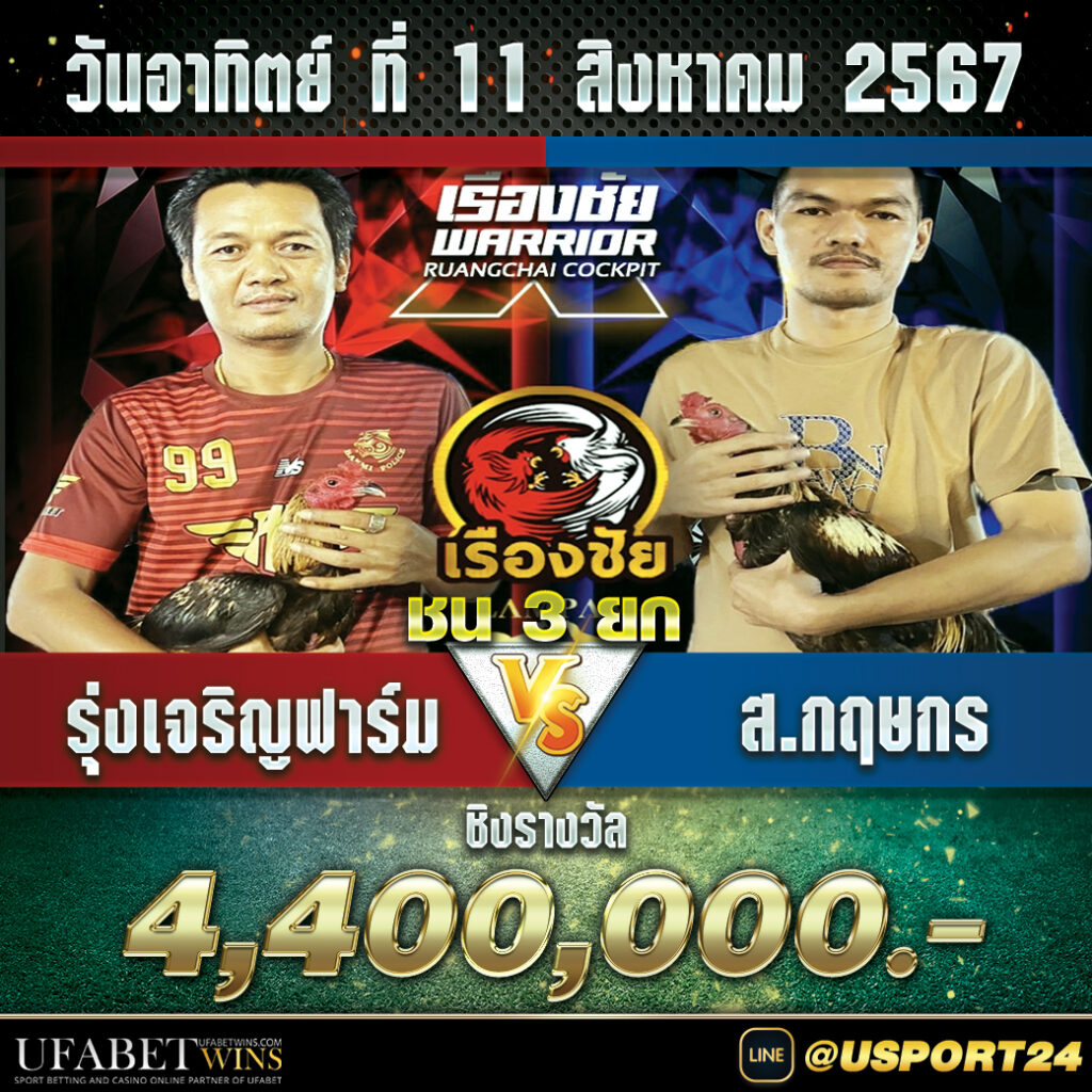 สนามชนไก่เรืองชัย อาทิตย์ที่11สิงหาคม2567