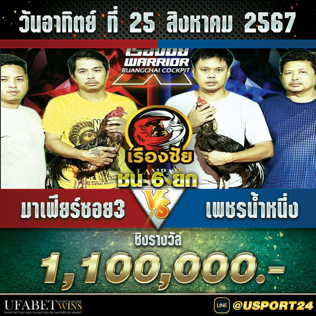  สนามชนไก่เรืองชัย อาทิตย์ที่25สิงหาคม2567