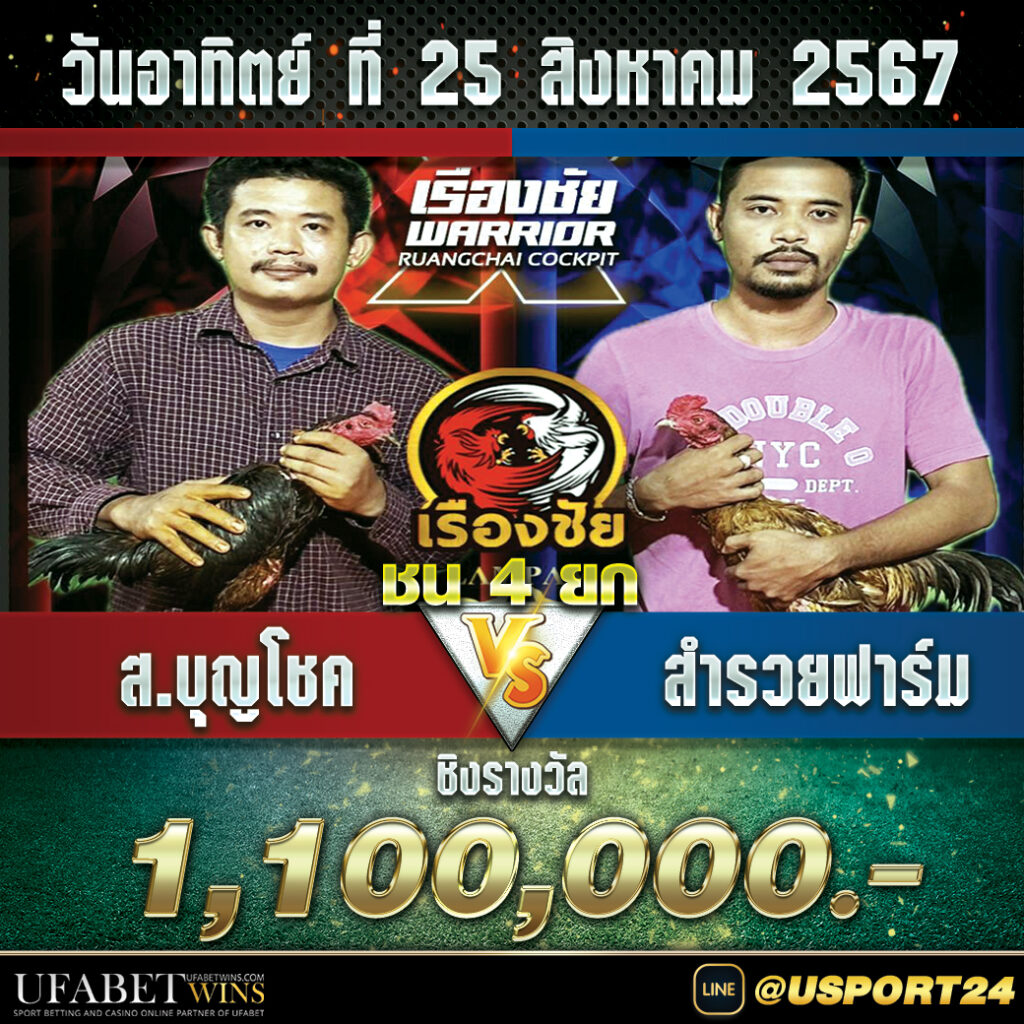  สนามชนไก่เรืองชัย อาทิตย์ที่25สิงหาคม2567