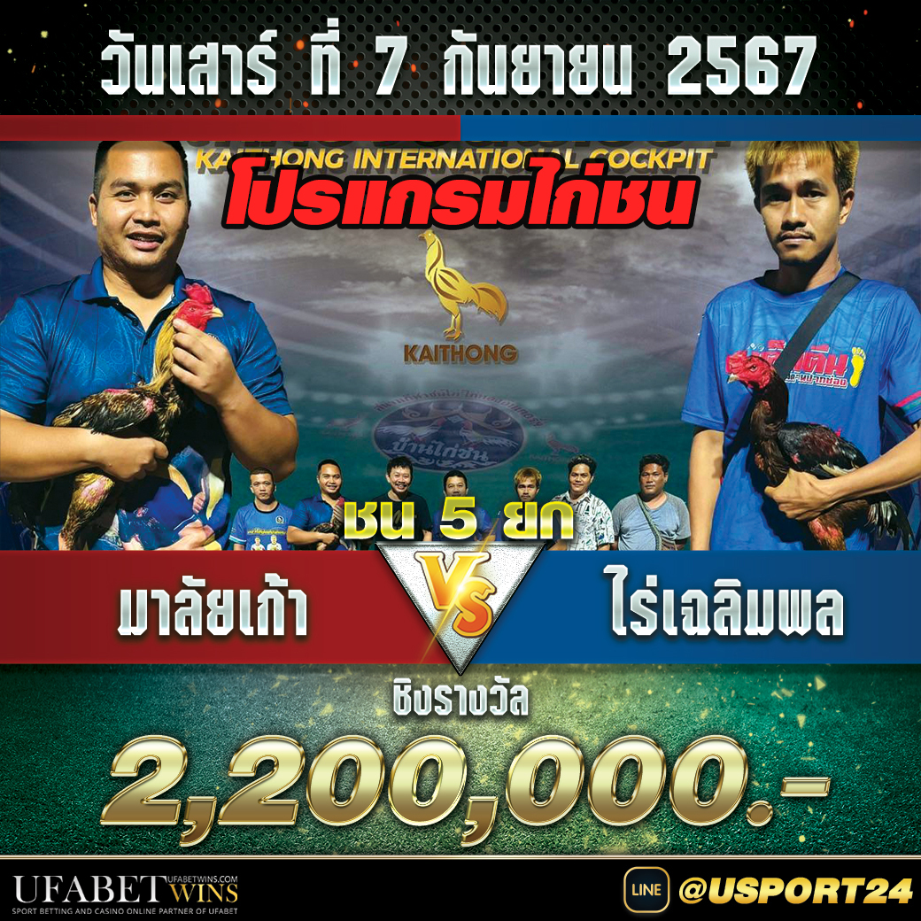 สนามชนไก่ไก่ทองอินเตอร์ เสาร์ที่7กันยายน2567