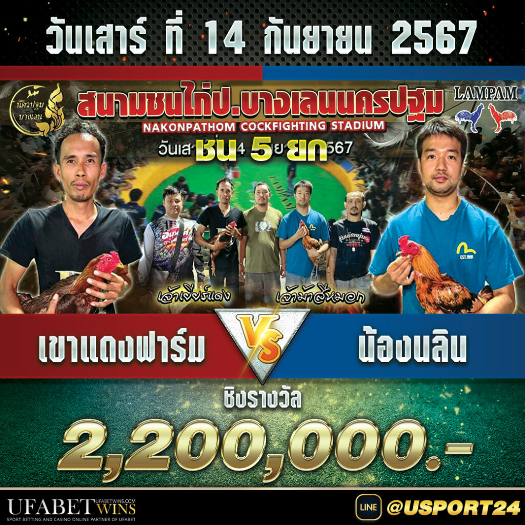 สนามชนไก่บางเลนนครปฐม เสาร์ที่14กันยายน2567