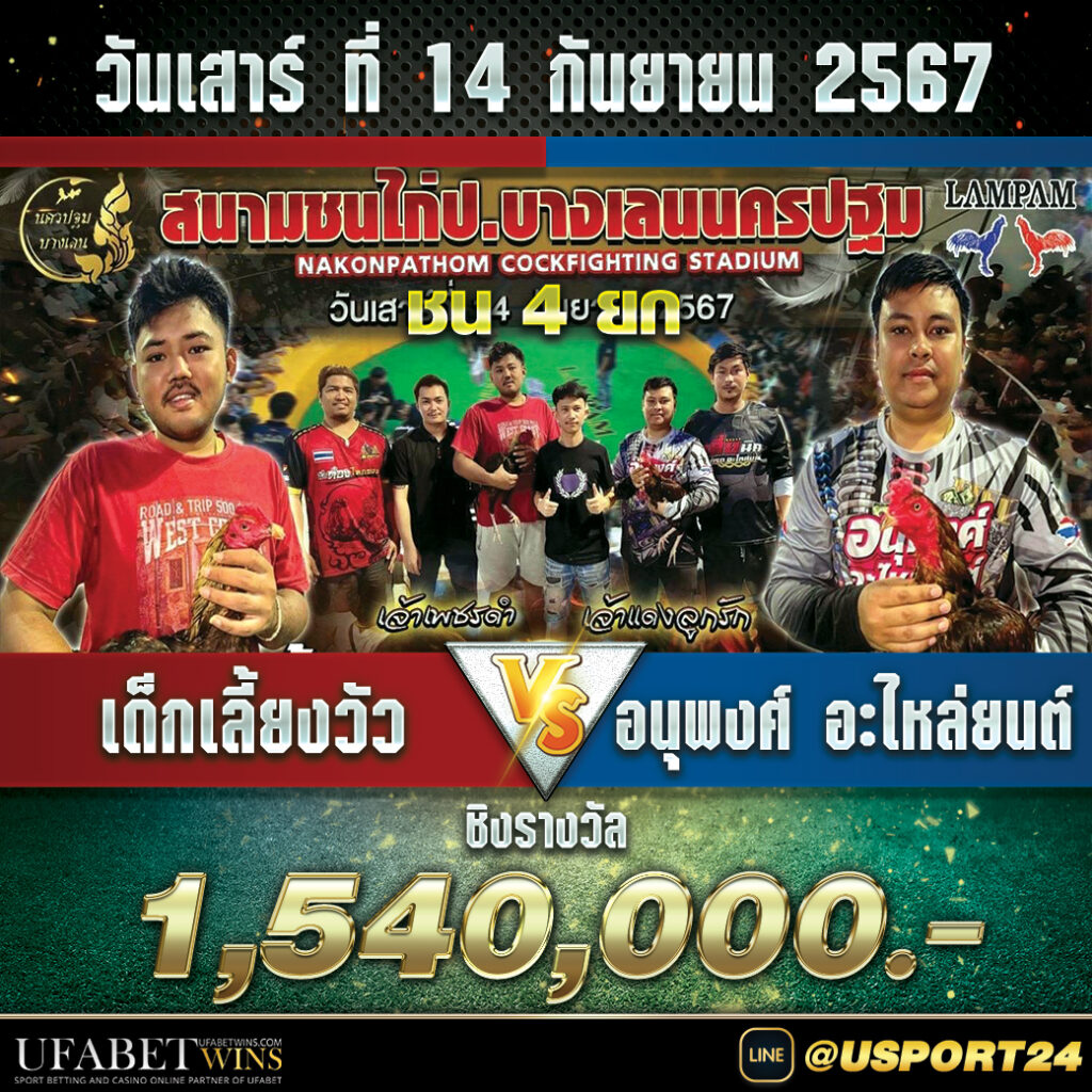 เด็กเลี้ยงวัวชนะอนุพงศ์ยกที่3 สนามชนไก่บางเลนล่าสุด