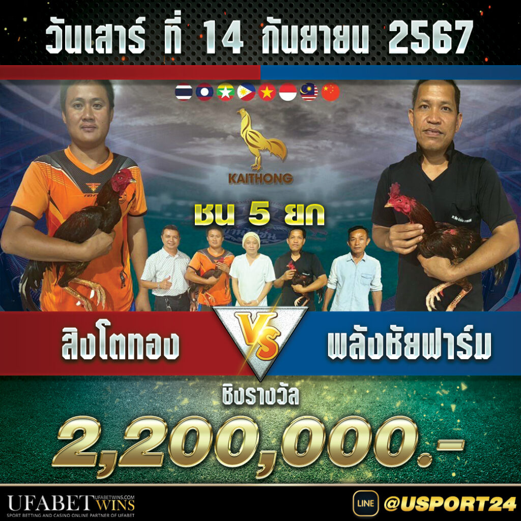 สิงโตทอง(เจ้านิวเคลียร์)ชนะพลังชัยล่าสุดสนามไก่ทอง