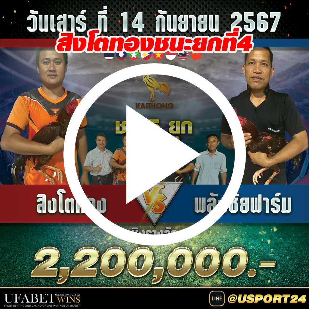 สิงโตทอง(เจ้านิวเคลียร์)ชนะพลังชัยล่าสุดสนามไก่ทอง