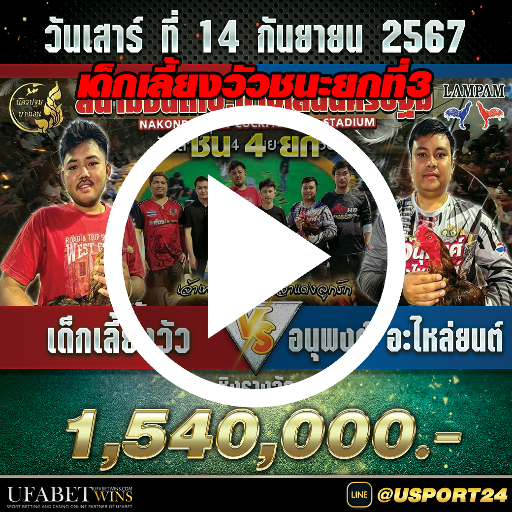 เด็กเลี้ยงวัวชนะอนุพงศ์ยกที่3 สนามชนไก่บางเลนล่าสุด