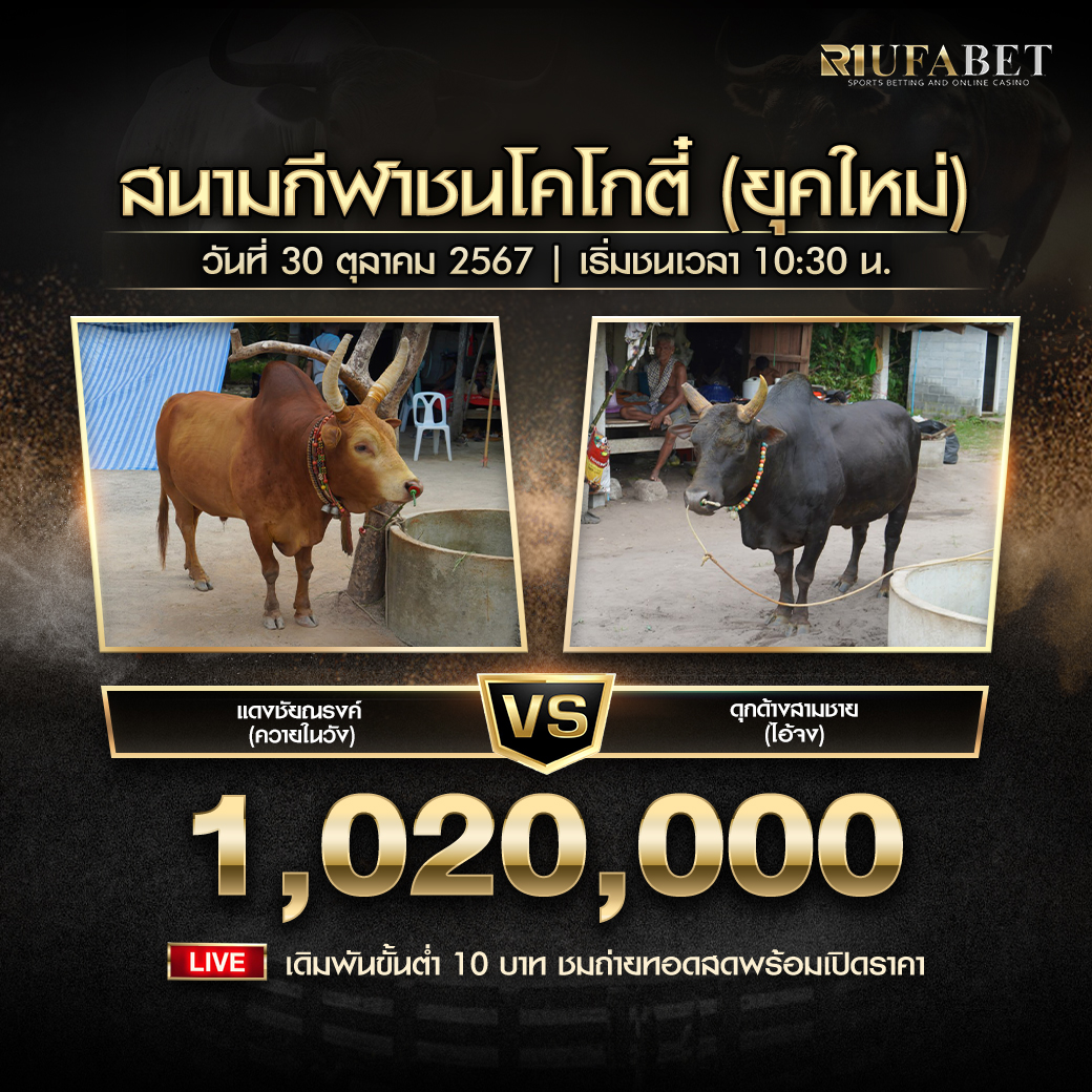 โปรแกรมวัวชน วันที่ 30 ตุลาคม 2567 สนามกีฬาชนโคโกตี๋ (ยุคใหม่)