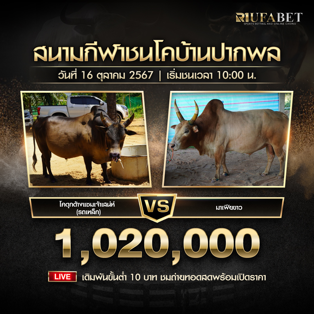 โปรแกรมวัวชน ประจำวันที่ 16ตุลาคม2567 สนามกีฬาชนโคบ้านปากพล
