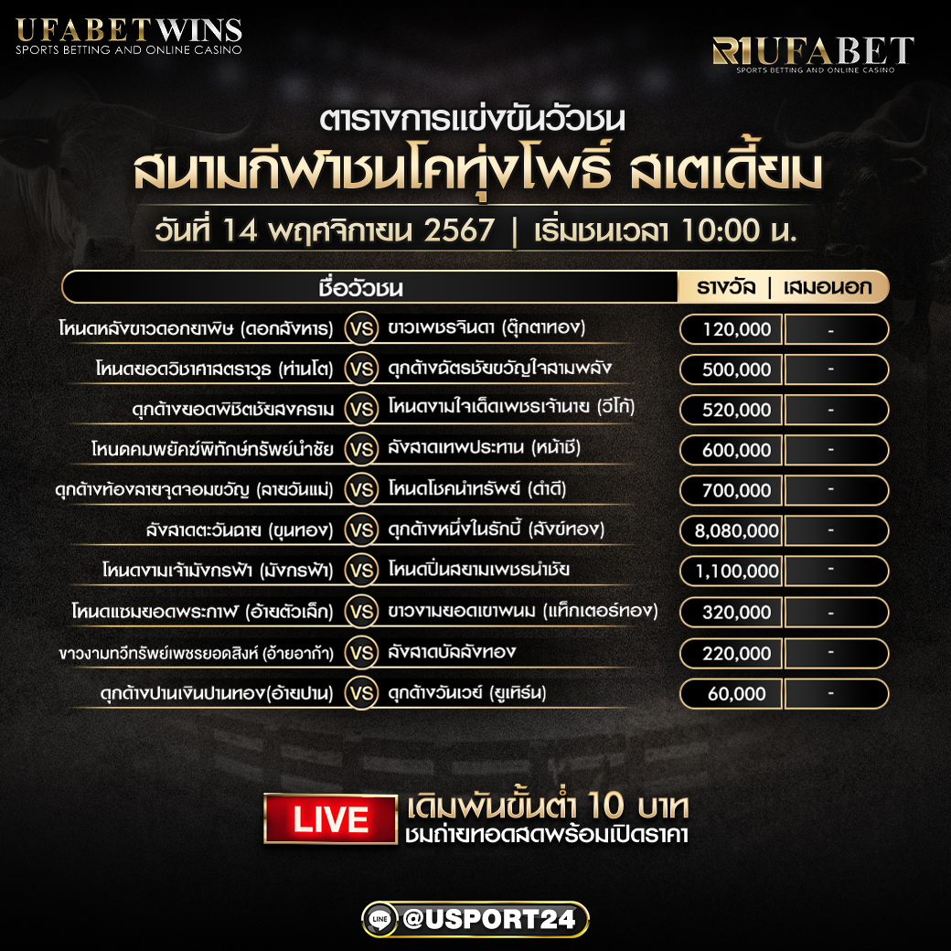 โปรแกรมวัวชน วันที่ 14 พฤศจิกายน 2567 สนามกีฬาชนโคทุ่งโพธิ์