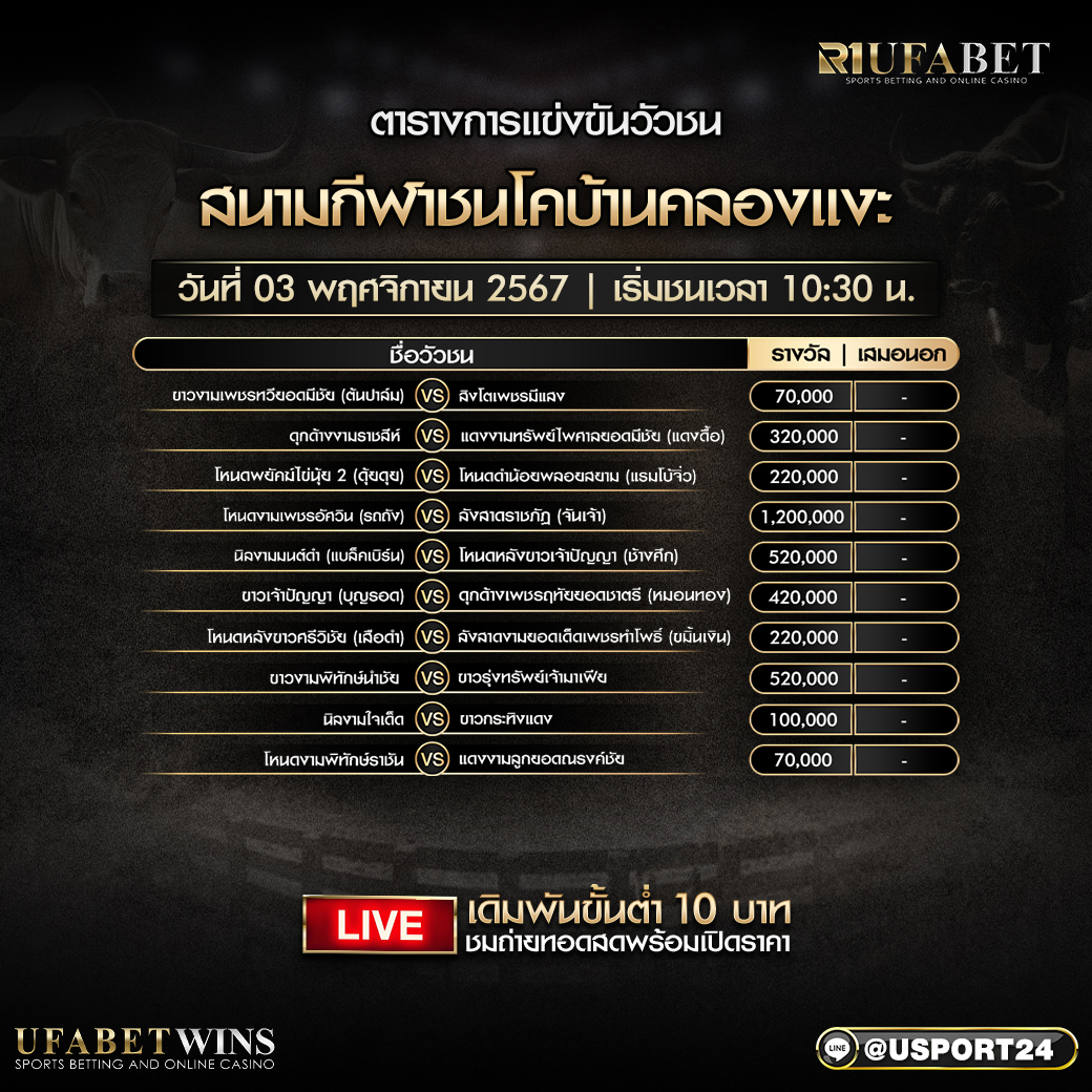 โปรแกรมวัวชน วันที่ 3 พฤศจิกายน 2567 สนามกีฬาชนโคบ้านคลองแงะ 