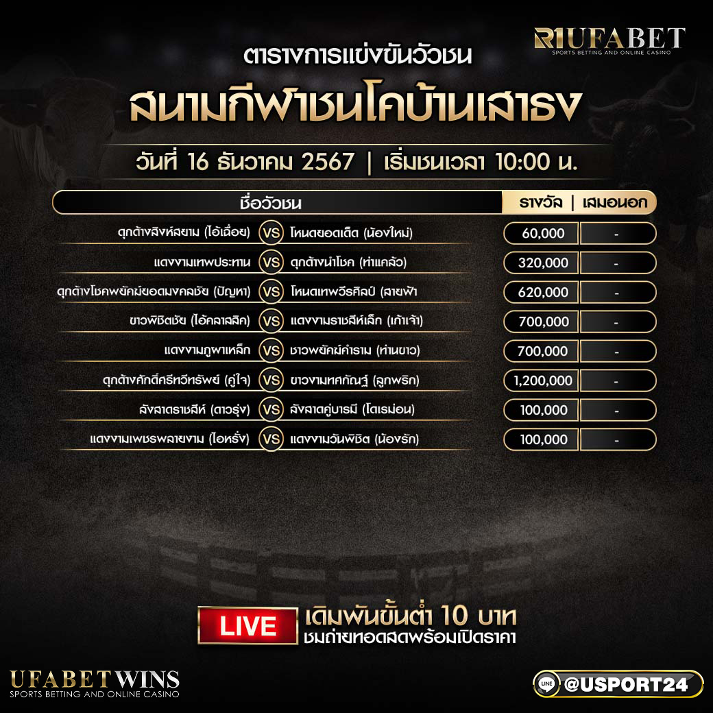 โปรแกรมวัวชน ประจำวันที่ 15 ธันวาคม 2567 สนามกีฬาชนโคบ้านเสาธง