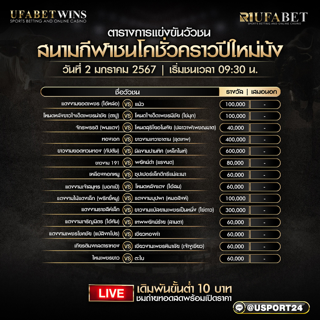 โปรแกรมวัวชน ประจำวันที่ 2 มกราคม 2568 สนามชนโคชั่วคราวปีใหม่ม้ง