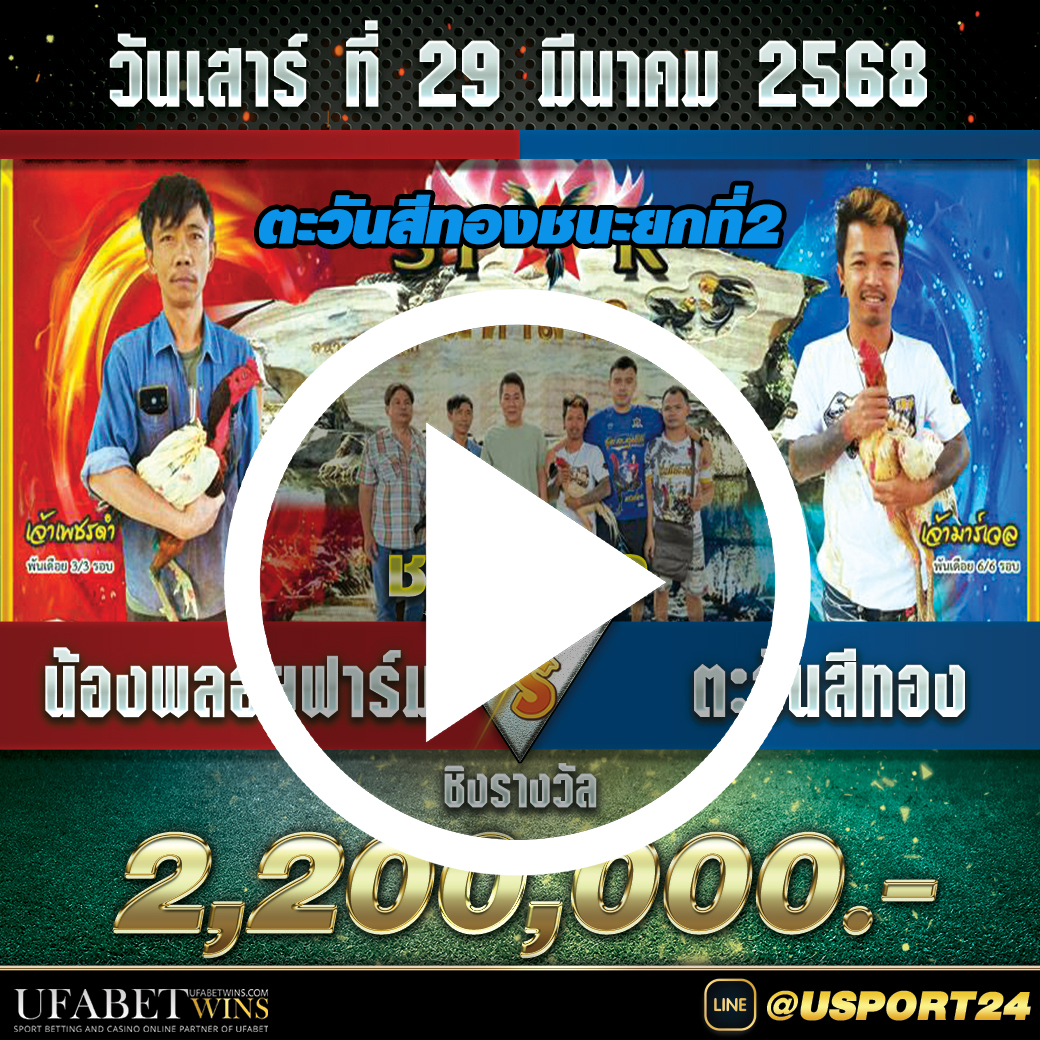 ตะวันสีทอง(เจ้ามาร์เวล)VSน้องพลอยฟาร์ม สนามชนไก่มหาลาภล่าสุด