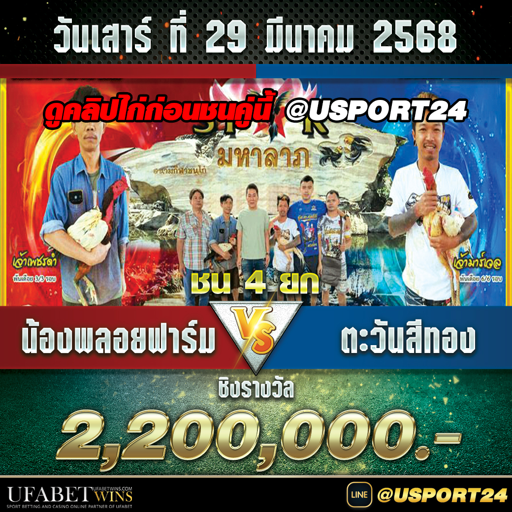 สนามชนไก่มหาลาภ(ปากช่อง) เสาร์ที่29มีนาคม2568