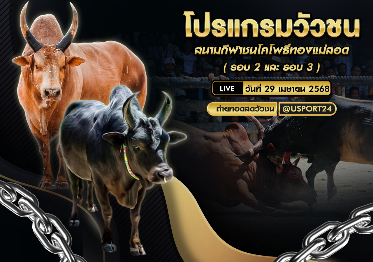 โปรเเกรมวัวชน ประจำวันที่ 29/04/68 สนามกีฬาชนโคโพธิ์ทองแม่สอด2-3