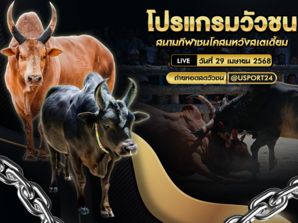 โปรเเกรมวัวชน ประจำวันที่ 29เมษายน68 สนามกีฬาชนโคสมหวังสเตเดี้ยม