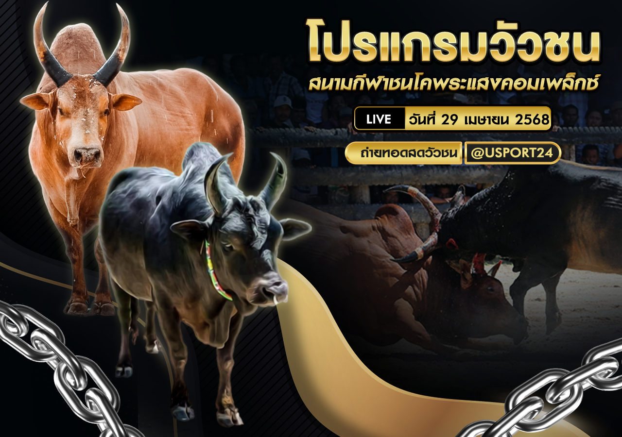 โปรเเกรมวัวชน ประจำวันที่ 29/04/68 สนามกีฬาชนโคพระแสงคอมเพล็กซ์
