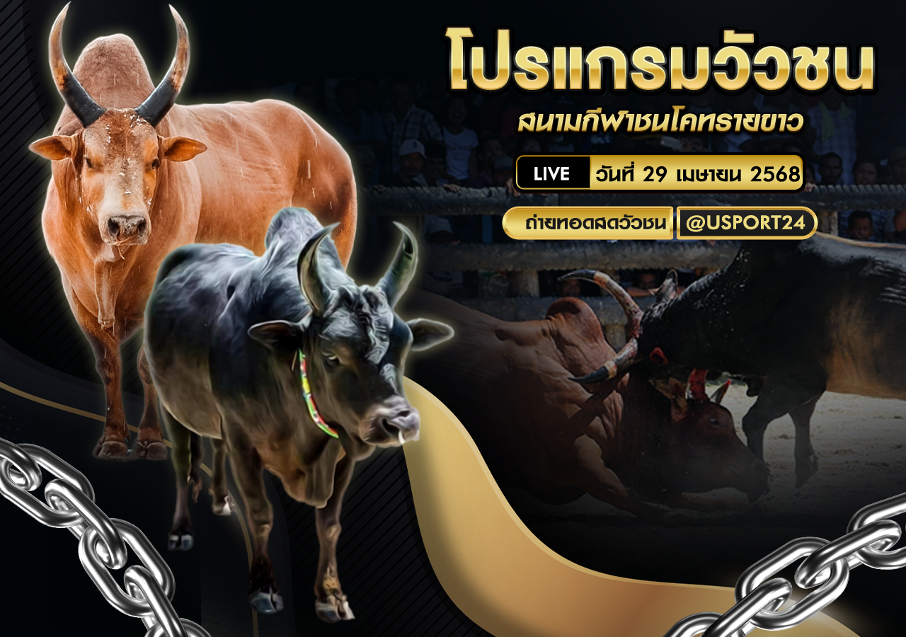 โปรเเกรมวัวชน ประจำวันที่ 29 เมษายน 2568 สนามกีฬาชนโคทรายขาว