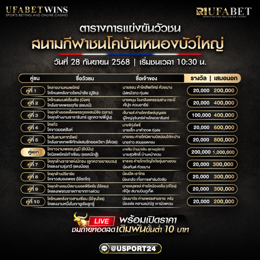 โปรแกรมวัวชน วันที่ 28 กันยายน 2568 | สนามกีฬาชนโคบ้านหนองบัวใหญ่