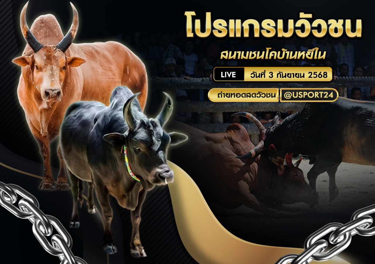 โปรแกรมวัวชน วันที่ 3 กันยายน 2568 | สนามชนโคบ้านหยีใน