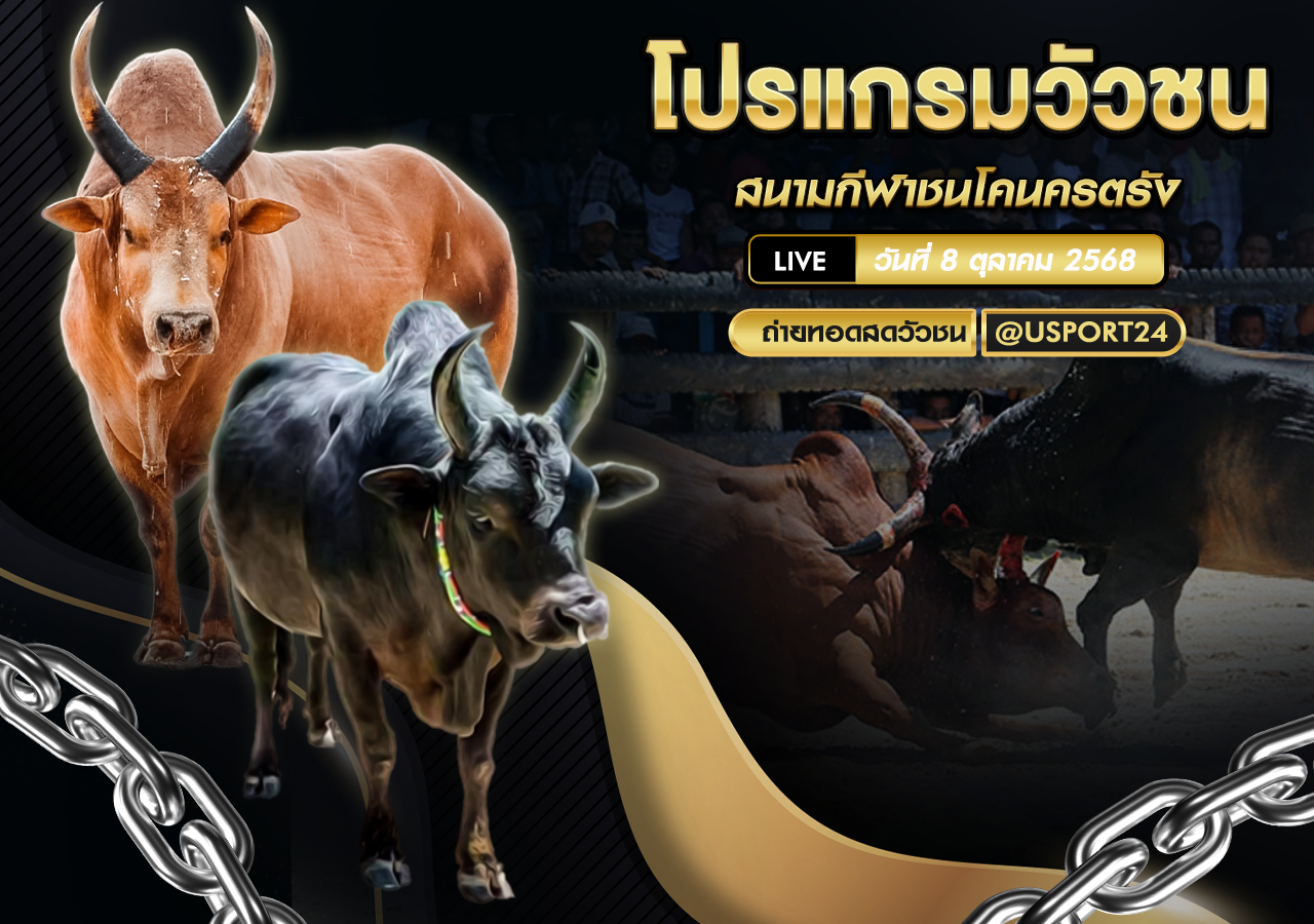 โปรแกรมวัวชน วันที่ 8 ตุลาคม 2568 | สนามกีฬาชนโคนครตรัง