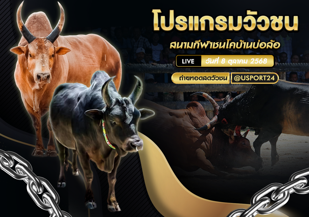 โปรแกรมวัวชน วันที่ 8 ตุลาคม 2568 | สนามกีฬาชนโคบ้านบ่อล้อ