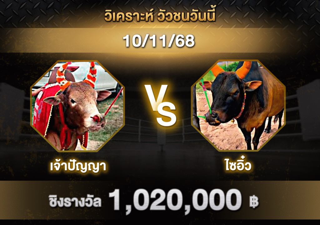 วิเคราะห์ วัวชนวันนี้ (10-11-68)