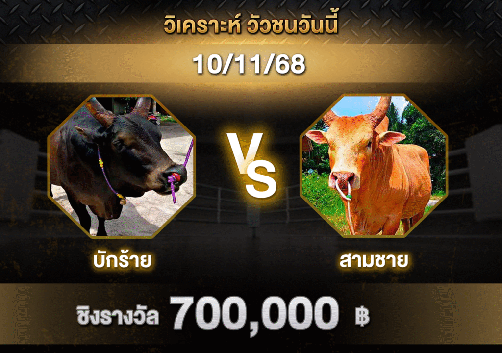 วิเคราะห์ วัวชนวันนี้ (10-11-68)
