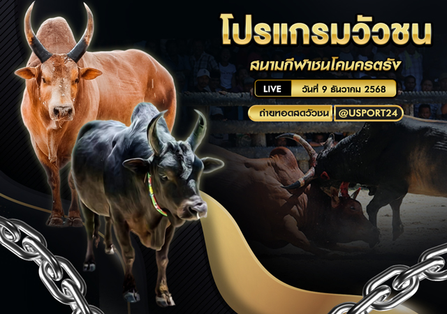 โปรแกรมวัวชน สนามกีฬาชนโคนครตรัง 9 ธ.ค. 68 คู่เปิดสนามถึงคู่ใหญ่ คู่เด็ดเพียบ